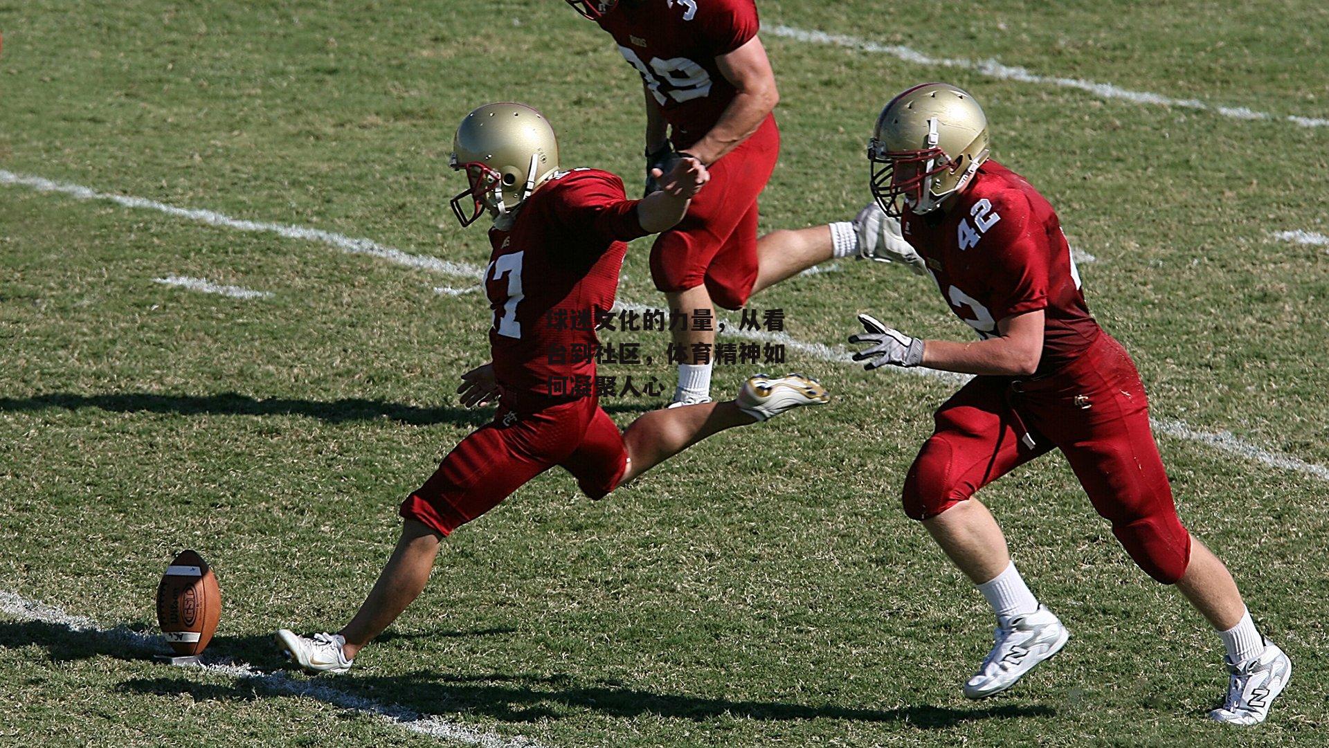 球迷文化的力量,从看台到社区,体育精神如何凝聚人心