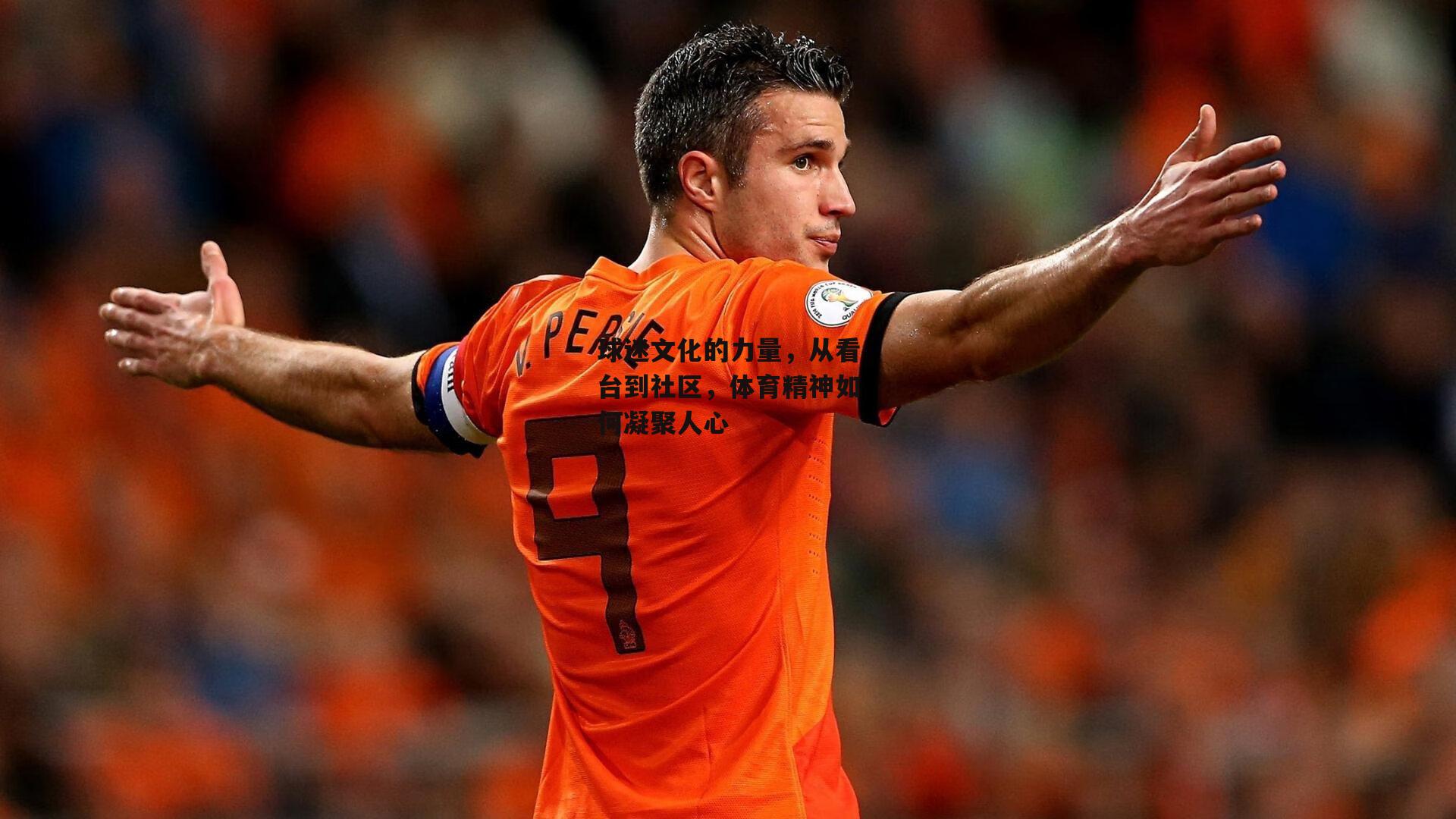 球迷文化的力量，从看台到社区，体育精神如何凝聚人心_pg模拟器