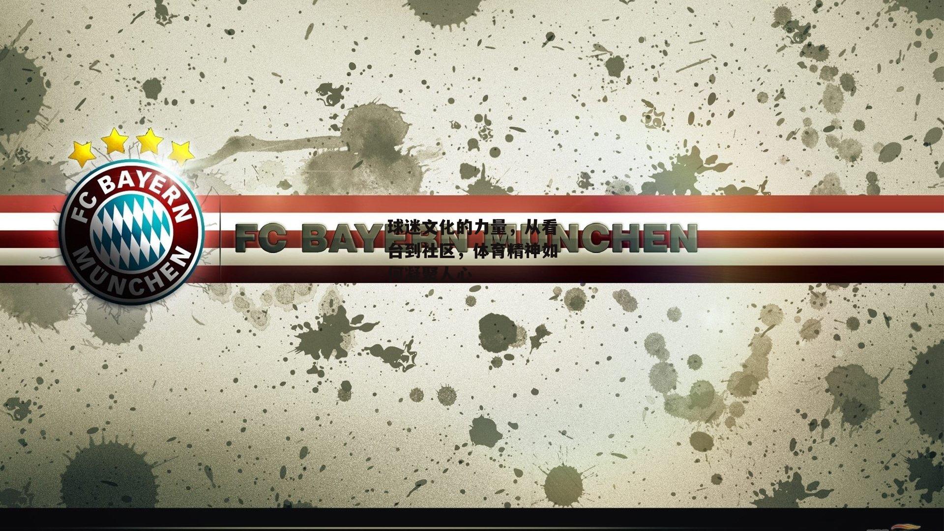 球迷文化的力量，从看台到社区，体育精神如何凝聚人心