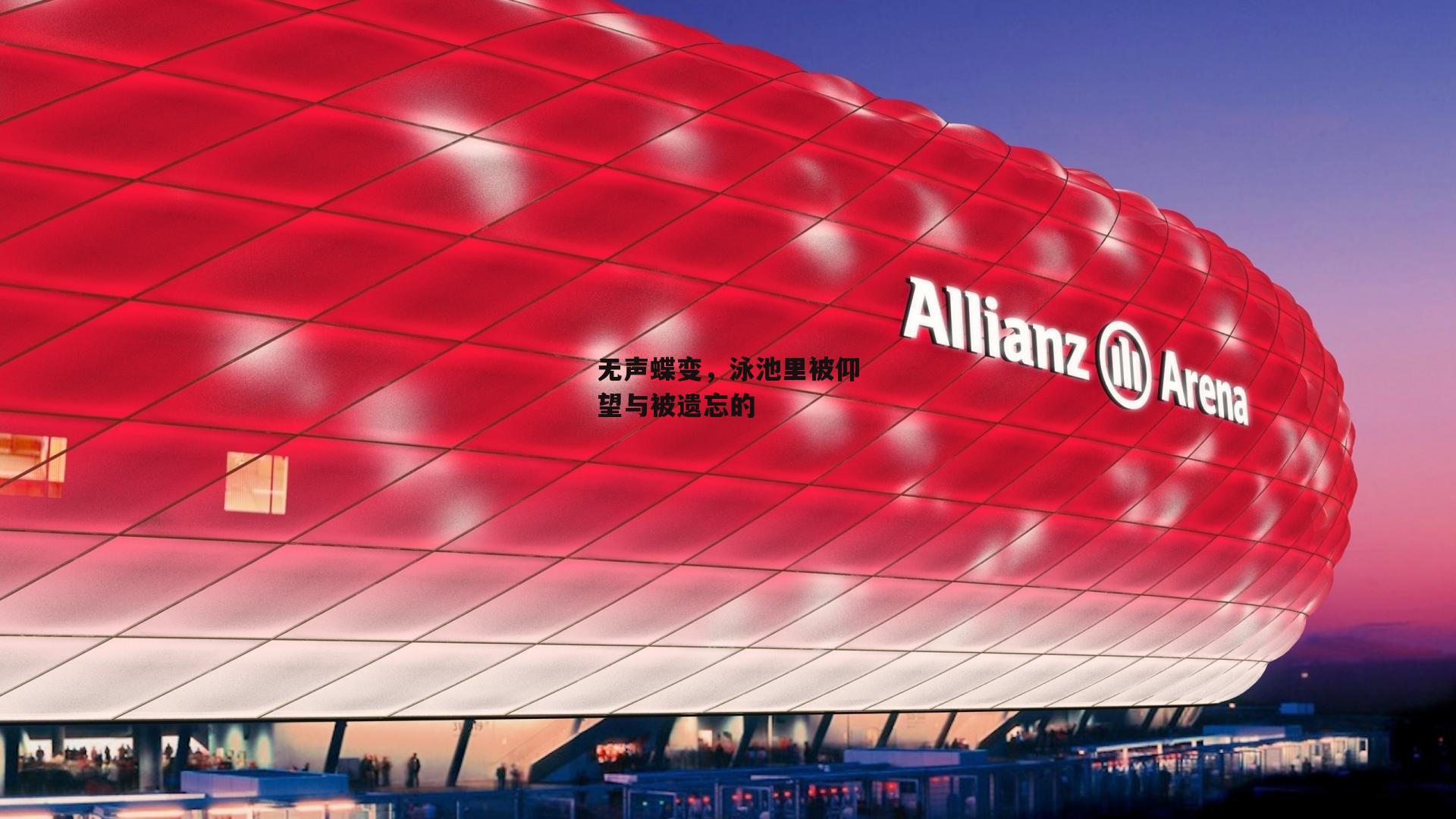 无声蝶变,泳池里被仰望与被遗忘的